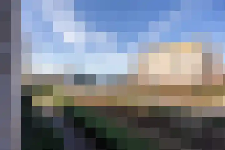 Lavendel 481 Cuijk thumbnail 14