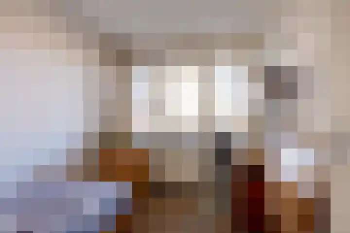 Lavendel 481 Cuijk thumbnail 15
