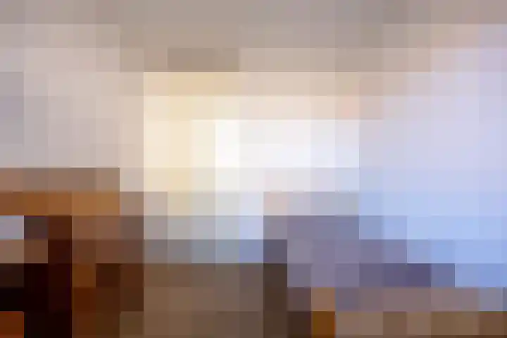 Lavendel 481 Cuijk thumbnail 16