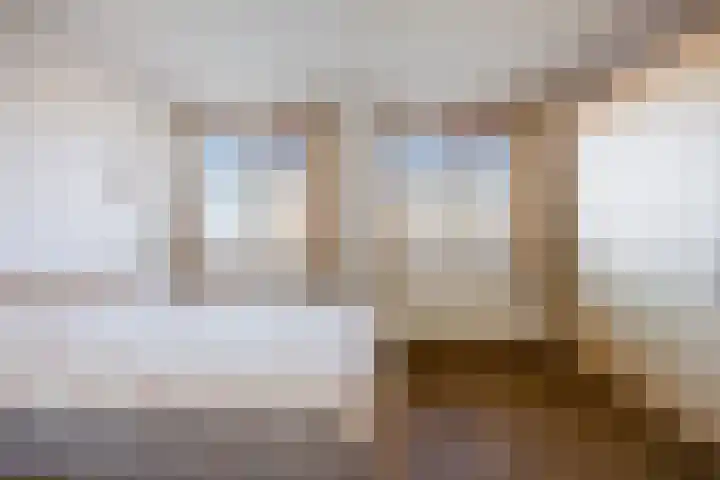Lavendel 481 Cuijk thumbnail 17