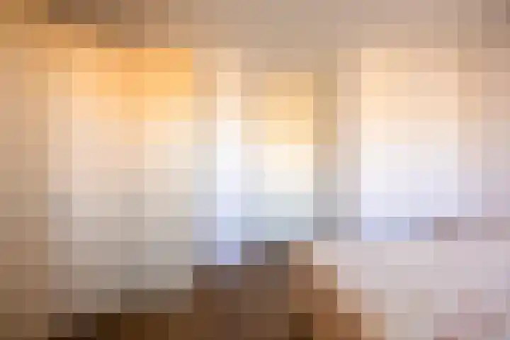 Lavendel 481 Cuijk thumbnail 18