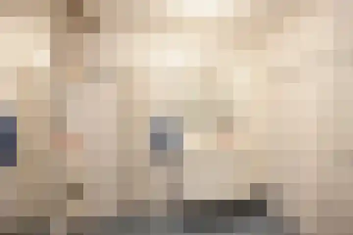 Lavendel 481 Cuijk thumbnail 20