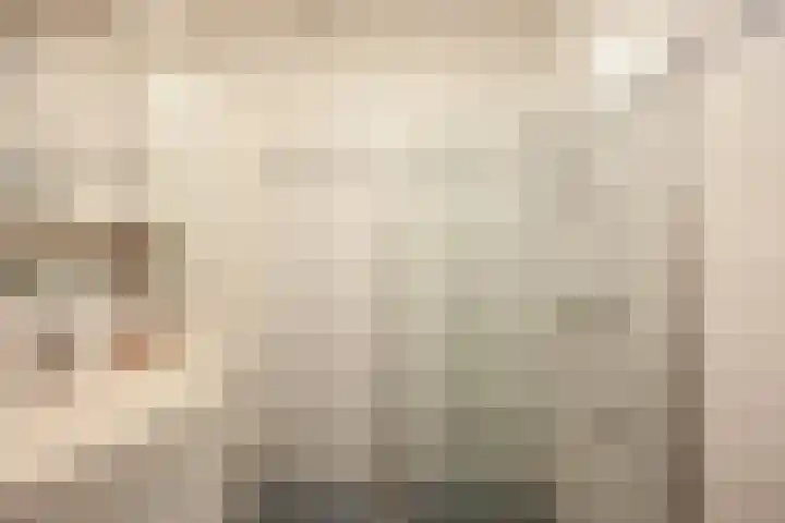 Lavendel 481 Cuijk thumbnail 21