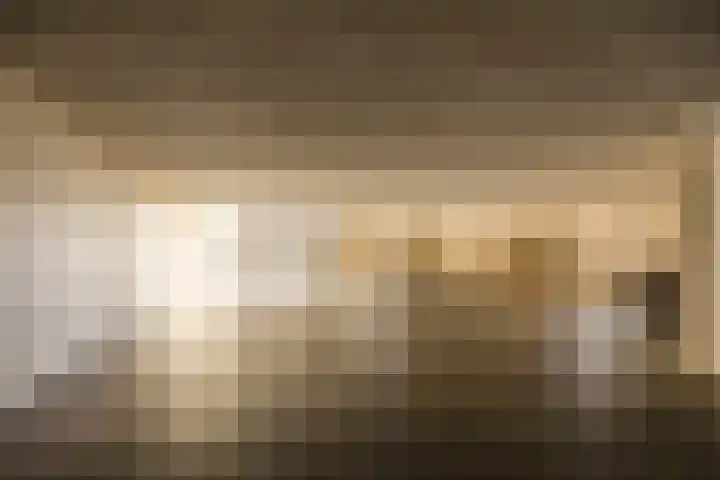 Lavendel 481 Cuijk thumbnail 24