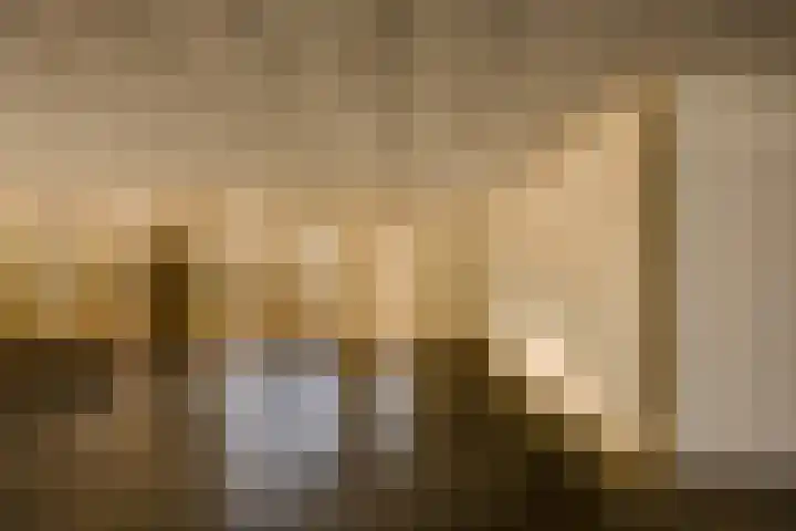 Lavendel 481 Cuijk thumbnail 25