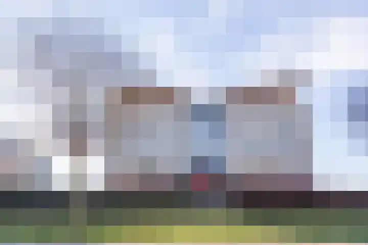 Lavendel 481 Cuijk thumbnail 27