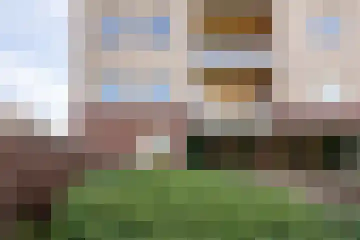 Lavendel 481 Cuijk thumbnail 28