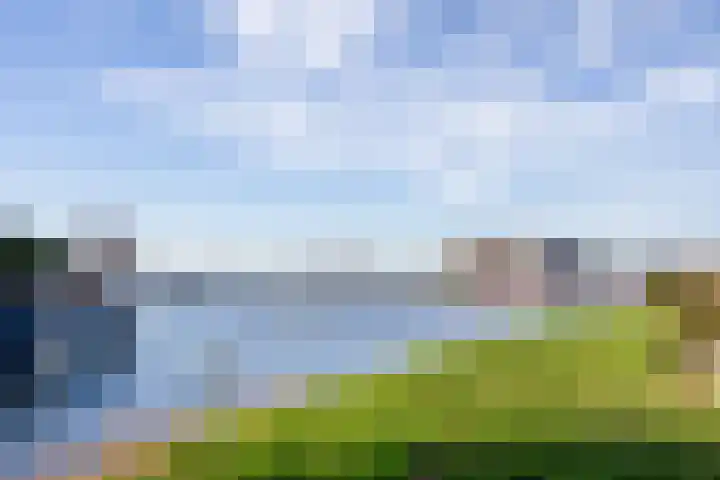 Lavendel 481 Cuijk thumbnail 29