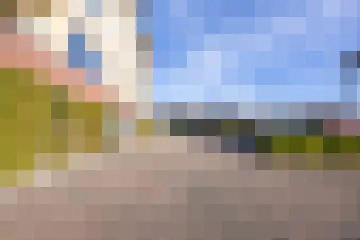 Lavendel 481 Cuijk thumbnail 30