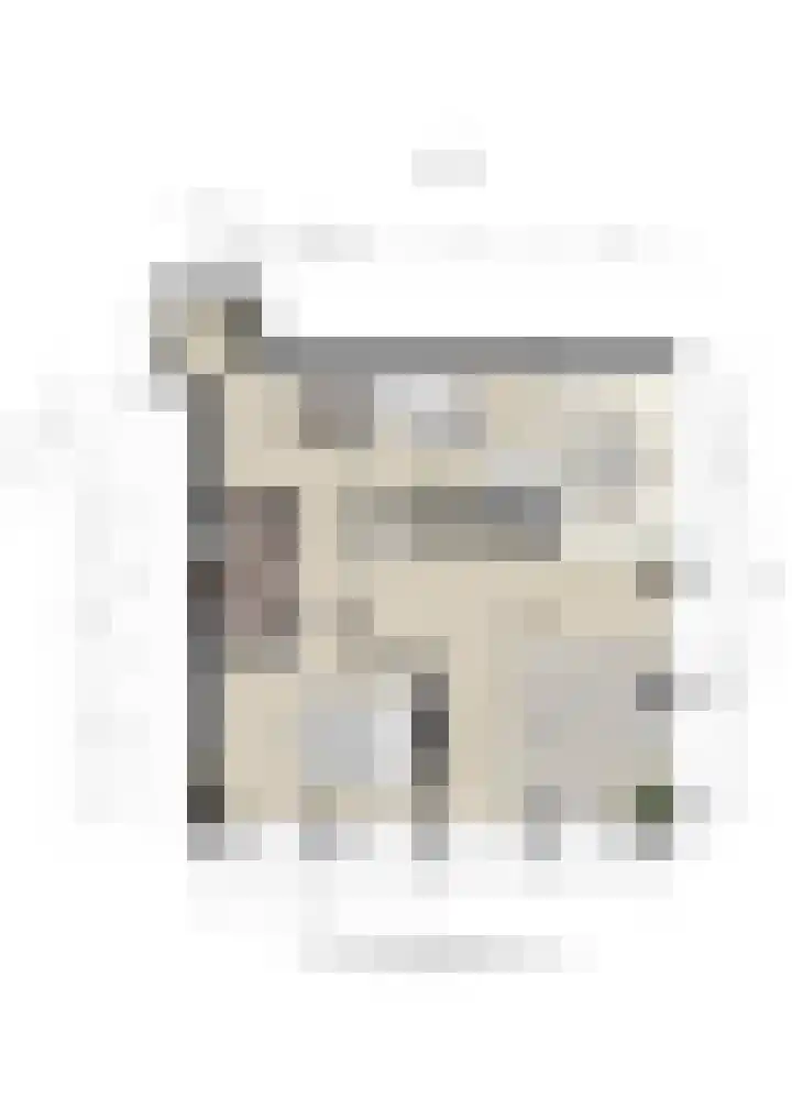 Lavendel 481 Cuijk thumbnail 31