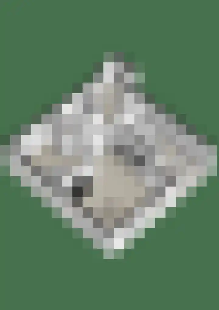 Lavendel 481 Cuijk thumbnail 32