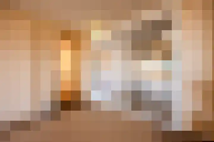 Lavendel 481 Cuijk thumbnail 4