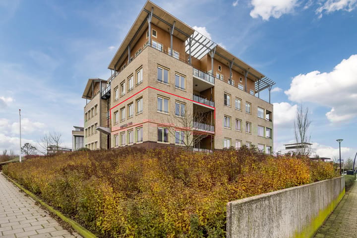 Lavendel 489 in Cuijk foto