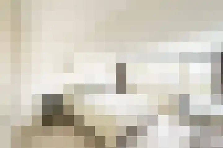Lavendel 493 Cuijk thumbnail 10