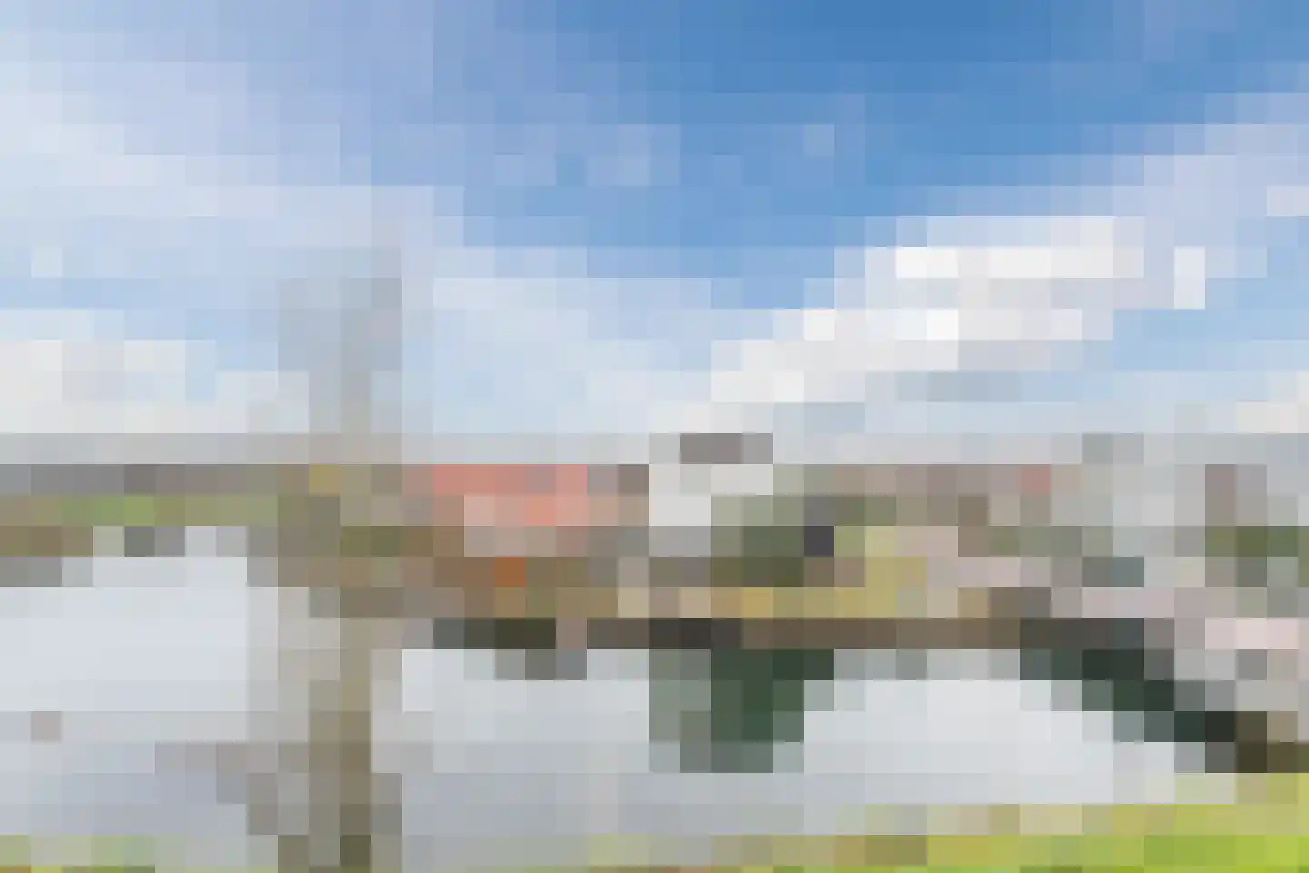Lavendel 493 Cuijk thumbnail 17