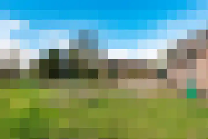 Lavendel 493 Cuijk thumbnail 19