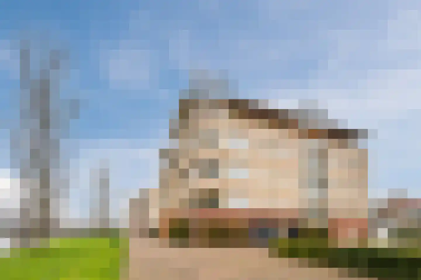 Lavendel 493 Cuijk thumbnail 23