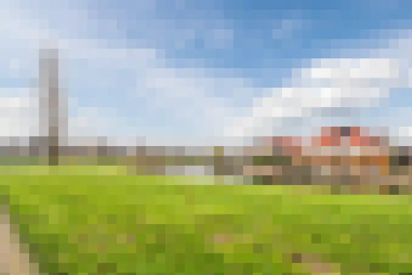 Lavendel 493 Cuijk thumbnail 24