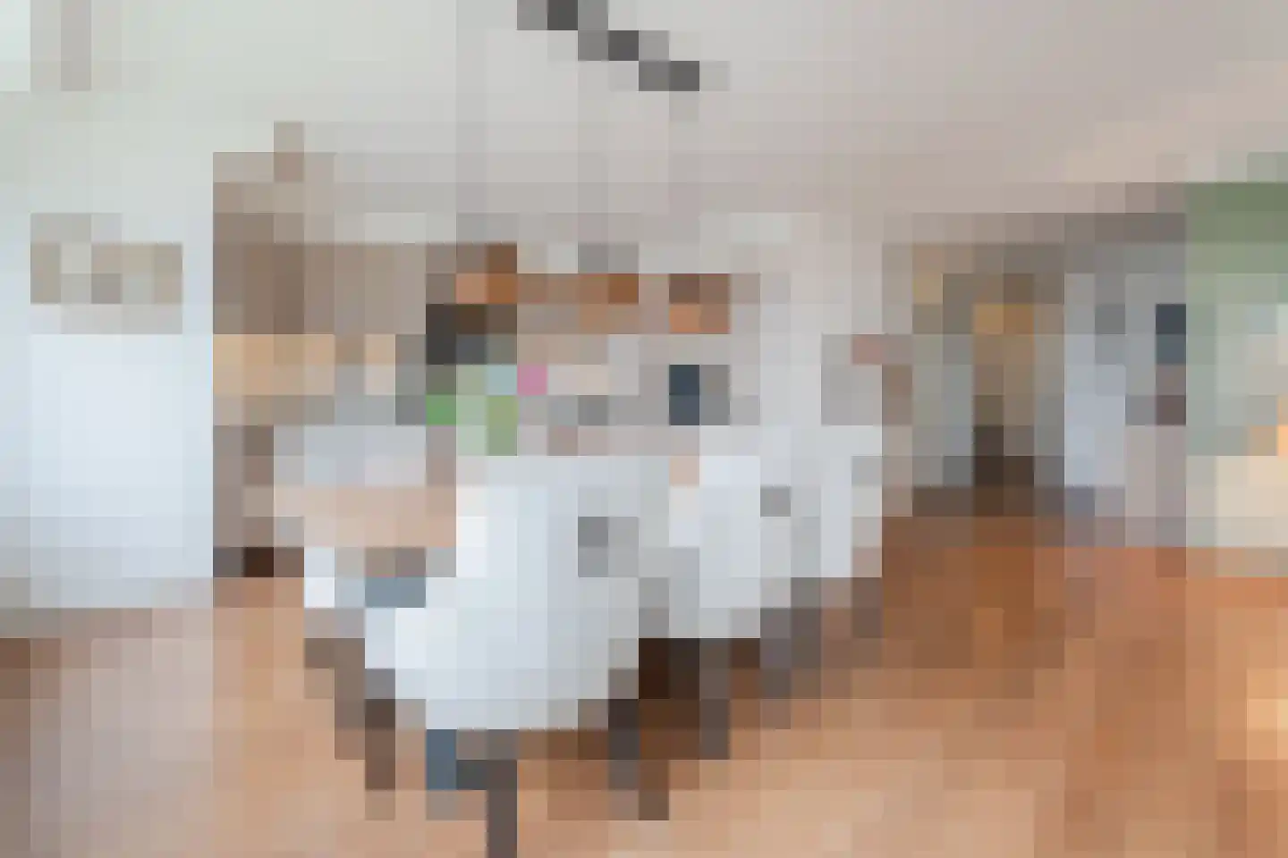 Lavendel 493 Cuijk thumbnail 7