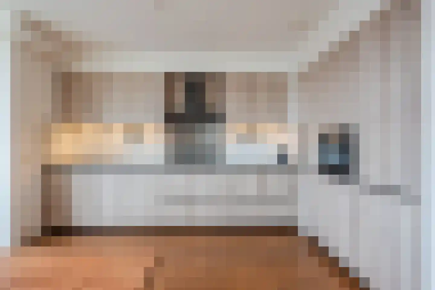 Lavendel 493 Cuijk thumbnail 8