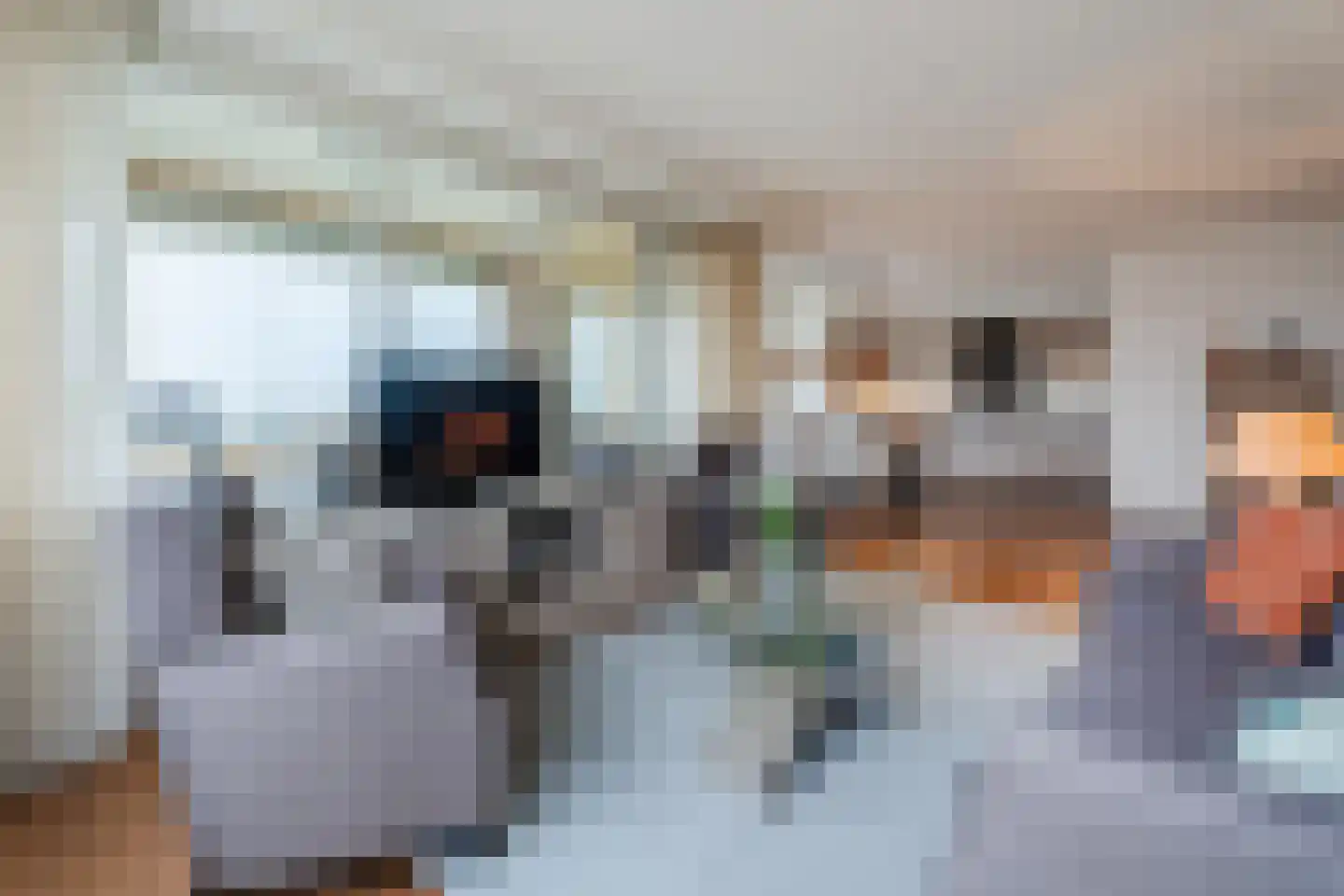 Lavendel 493 Cuijk thumbnail 9