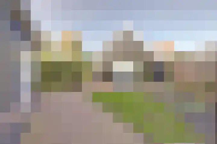 Lavendeldijk 28 Oostdijk thumbnail 33