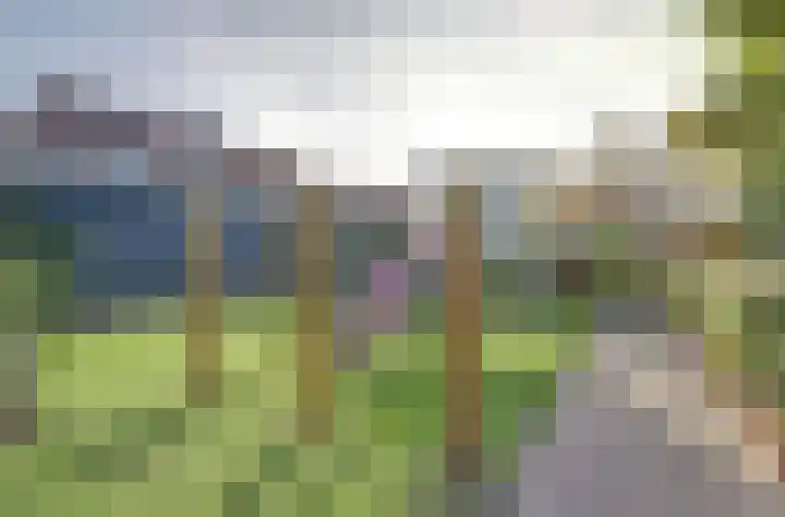 Lavendeldijk 28 Oostdijk thumbnail 37