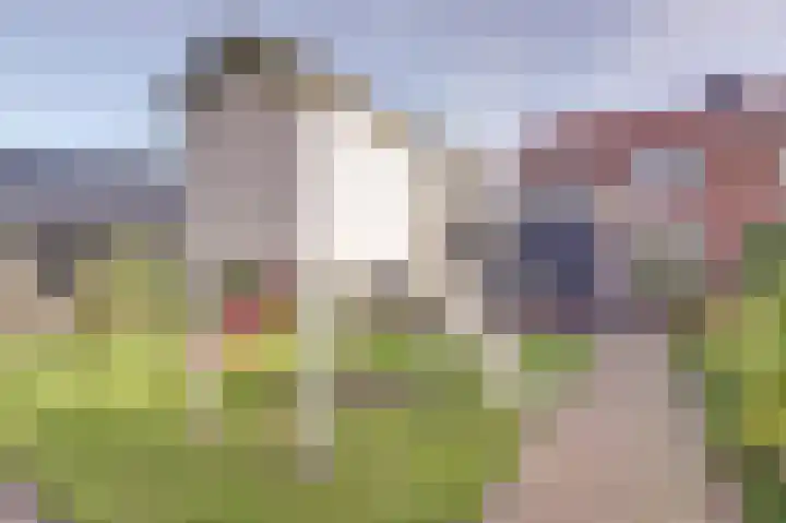 Lavendeldijk 28 Oostdijk thumbnail 39