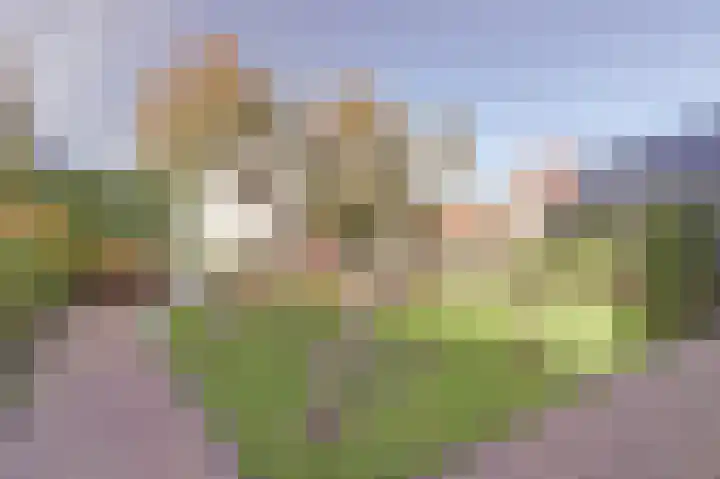 Lavendeldijk 28 Oostdijk thumbnail 41
