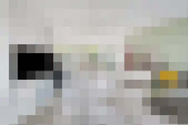 Lavendelheide 10 Venray thumbnail 10