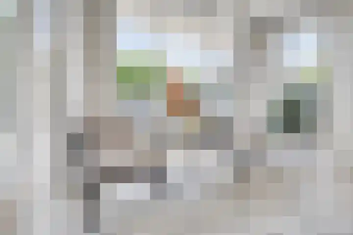 Lavendelheide 10 Venray thumbnail 15