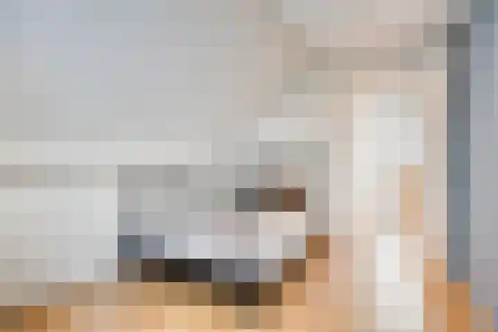 Lavendelheide 10 Venray thumbnail 38