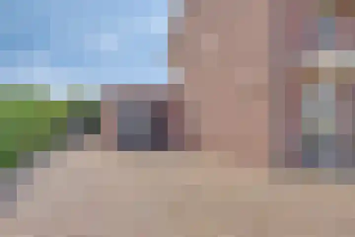 Lavendelheide 10 Venray thumbnail 4