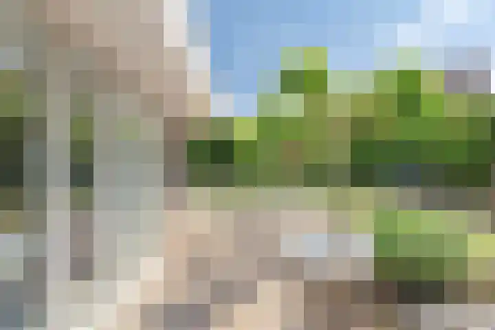 Lavendelheide 10 Venray thumbnail 41