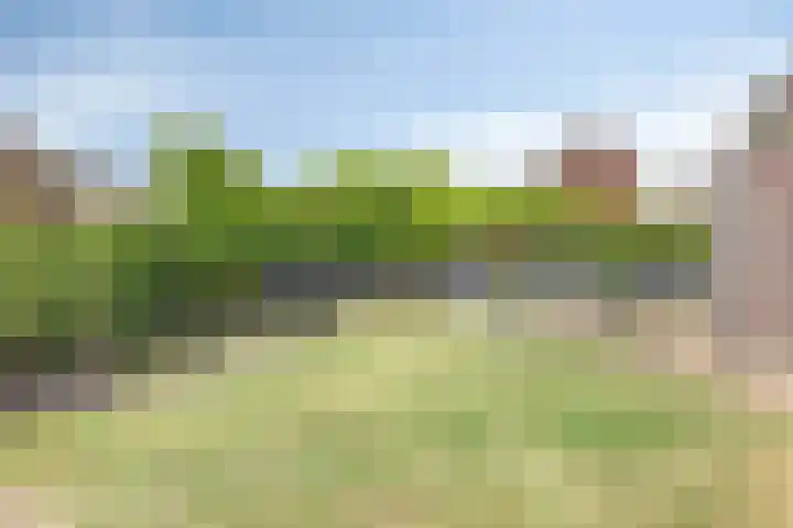 Lavendelheide 10 Venray thumbnail 42