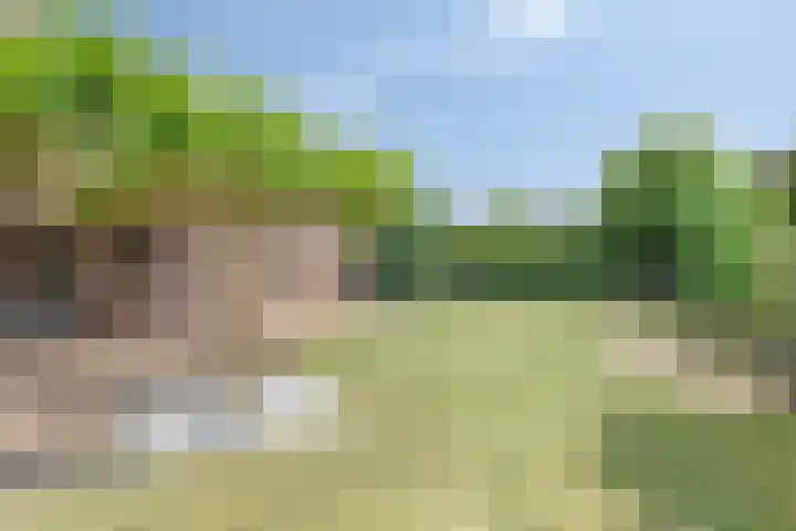 Lavendelheide 10 Venray thumbnail 46