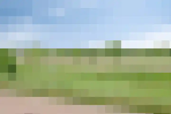 Lavendelheide 10 Venray thumbnail 47