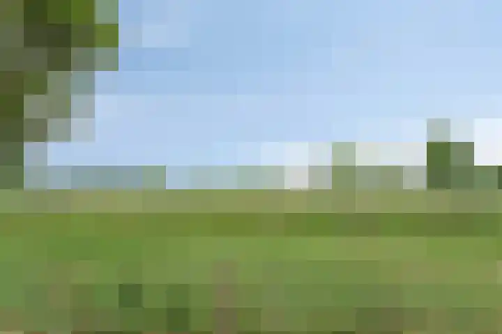 Lavendelheide 10 Venray thumbnail 48