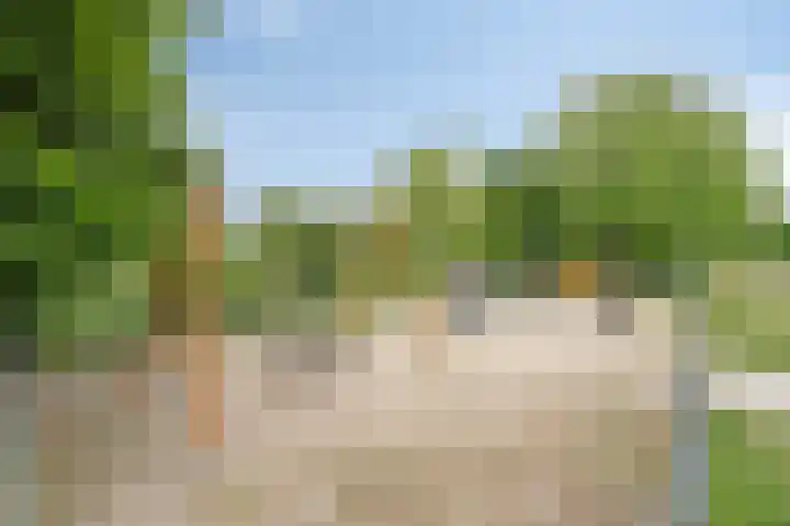Lavendelheide 10 Venray thumbnail 50