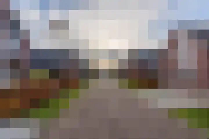 Lavendelheide 11 Venray thumbnail 10