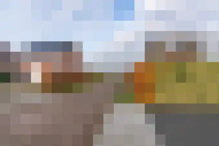 Lavendelheide 11 Venray thumbnail 11