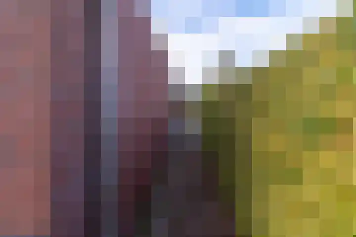 Lavendelheide 11 Venray thumbnail 13