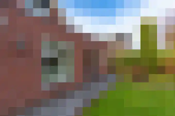 Lavendelheide 11 Venray thumbnail 15
