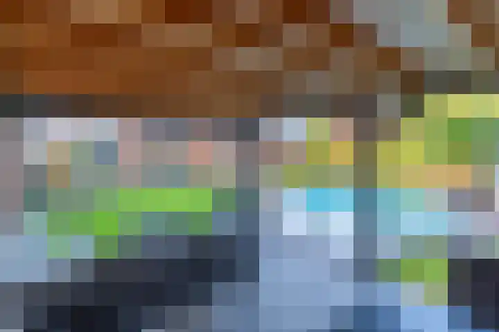 Lavendelheide 11 Venray thumbnail 23
