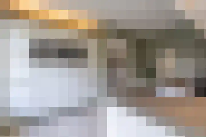 Lavendelheide 11 Venray thumbnail 29