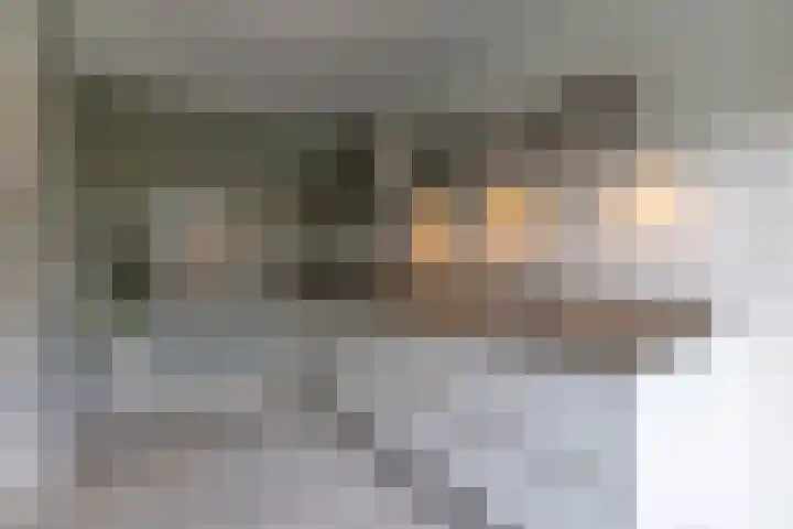 Lavendelheide 11 Venray thumbnail 31