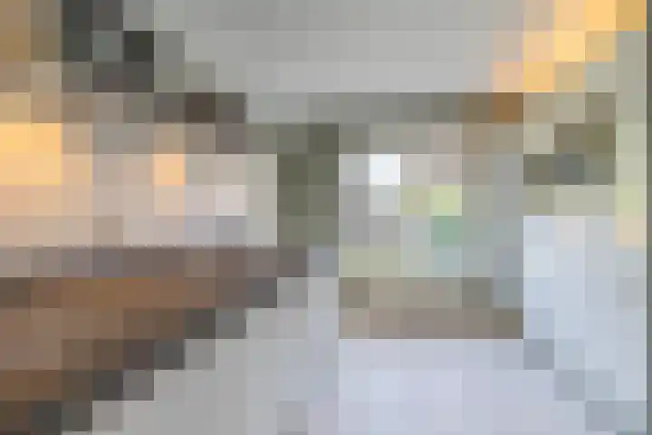 Lavendelheide 11 Venray thumbnail 32