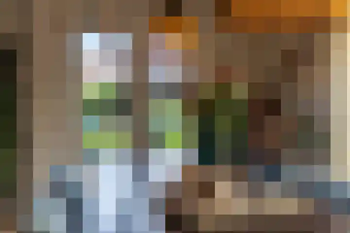 Lavendelheide 11 Venray thumbnail 39