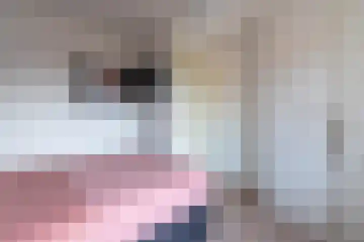 Lavendelheide 11 Venray thumbnail 50