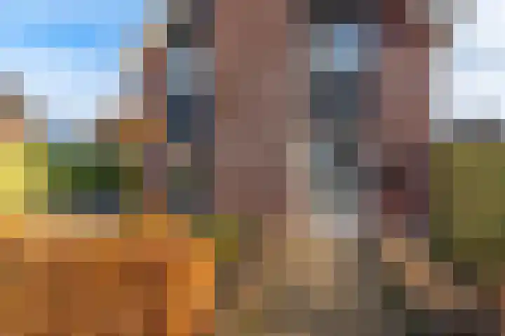 Lavendelheide 11 Venray thumbnail 6